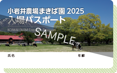 入場パスポート