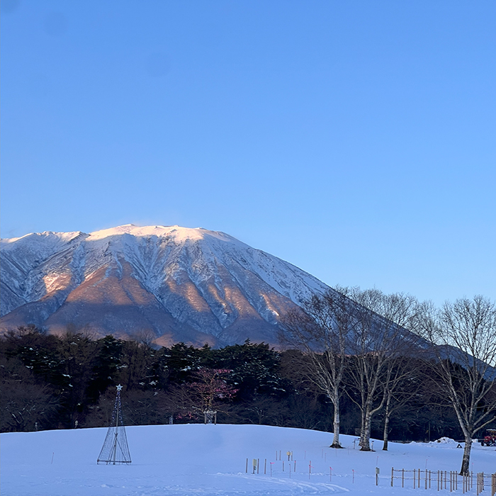 Makiba Park will be closed from Tuesday, January 14 to Friday, January 24.