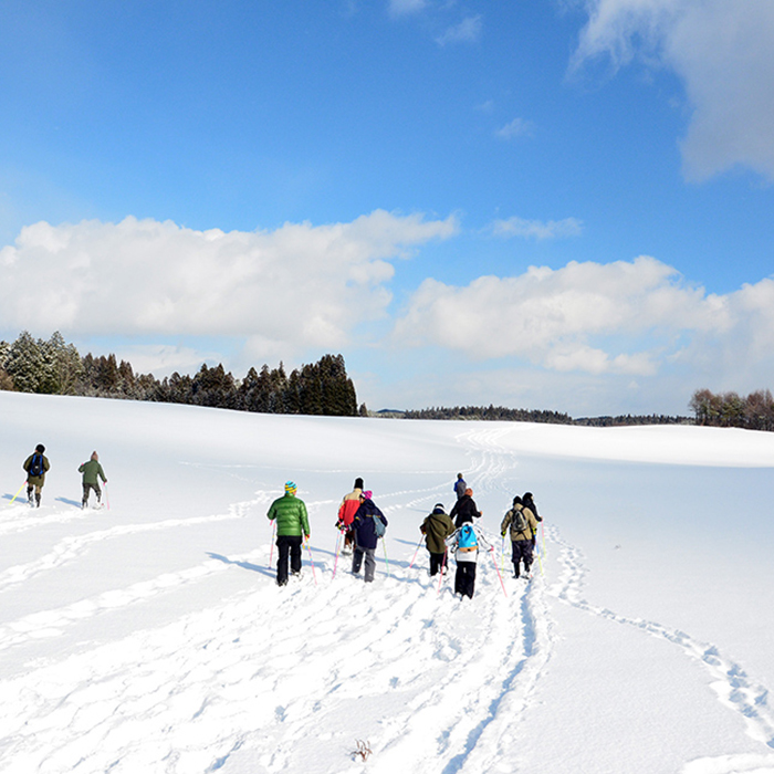 Snow Forest Tour
