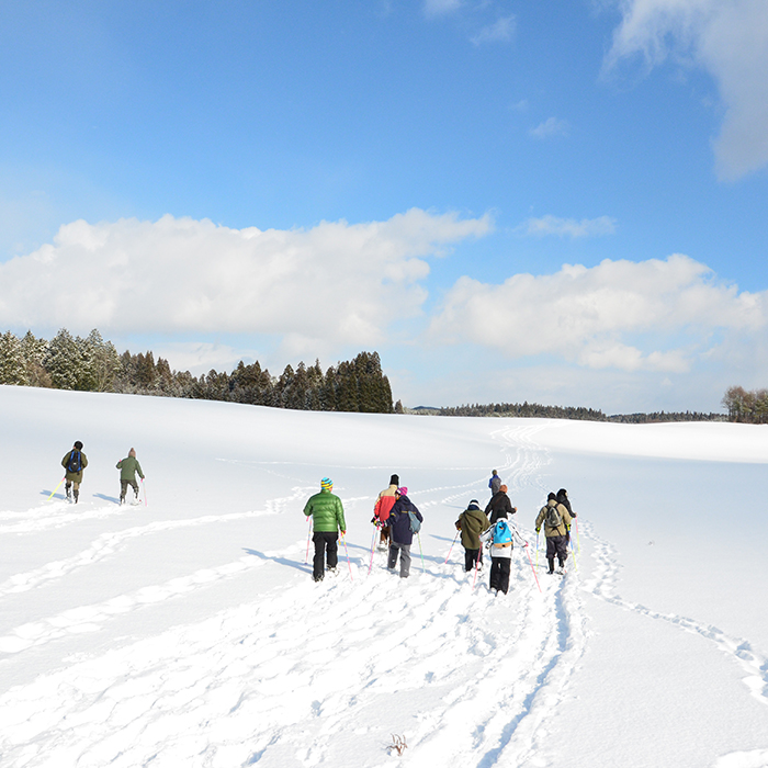 雫石冬フェスタ㏌小岩井農場　スノーシューウォーク